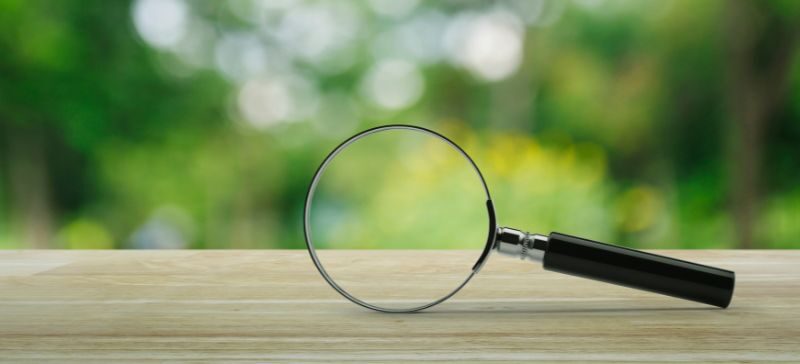 a magnifying glass analyzes the leaves to bring them into focus