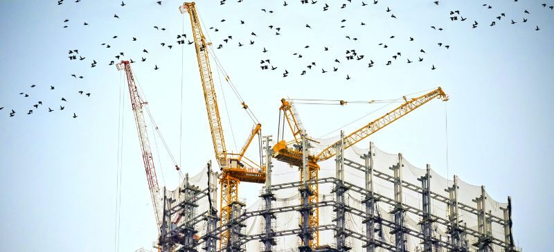 birds fly around a crane building a foundation