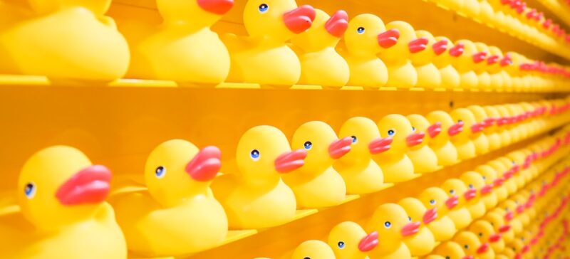 Ducks in a row.