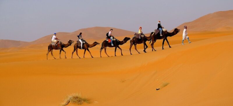 People and camels on a journey through the desert