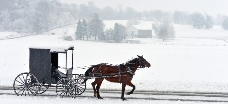 Horse and buggy being driven through the snow